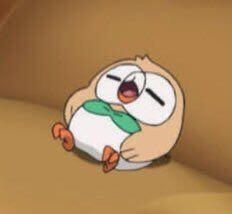 rowlet