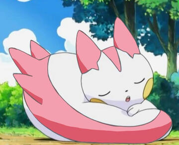 pachirisu