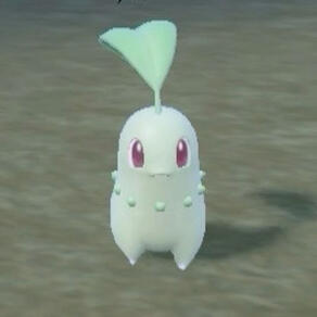 chikorita